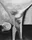 The Crucifixion
