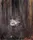 Head III