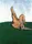 Lying Figure No.1