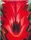 Inside Red Canna