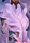 Purple Leaves