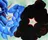Black Hollyhock - Blue Larkspur