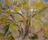 Spring Tree No. 1