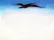 A Black Bird With Snow Covered Red Hills