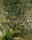 Two Plants