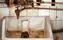Two Japanese Wrestlers by a Sink