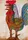 A rooster