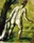 Bather from the Back
