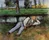 Boy Resting